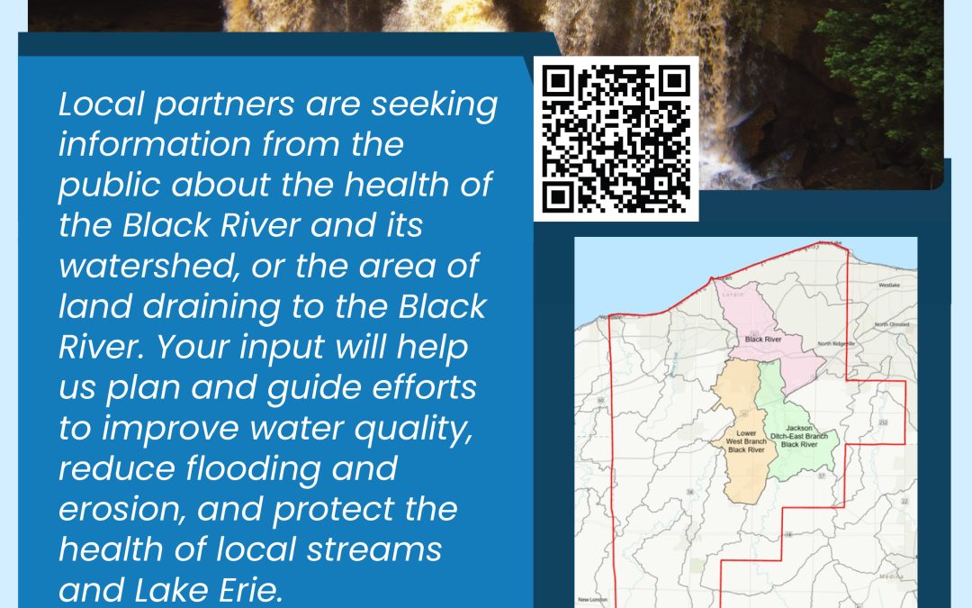 Black River Watershed Planning Meetings